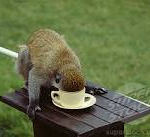 Össur í kaffi